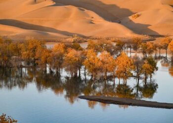 Foto yang diabadikan pada 26 Oktober 2024 ini menunjukkan pemandangan musim gugur di objek wisata Huludao (Pulau Labu) di wilayah Yuli, Daerah Otonom Uighur Xinjiang, China barat laut. (Xinhua/Chen Shuo)
