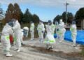 Sejumlah staf melakukan operasi disinfeksi di Kasama, Prefektur Ibaraki, Jepang, pada 27 November 2023. Saat itu, wabah flu burung yang sangat patogenik terkonfirmasi di sebuah peternakan unggas di Prefektur Ibaraki, Jepang timur, menandai wabah flu burung kedua di Jepang pada musim tersebut. (Xinhua)