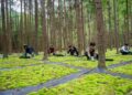 Warga setempat bekerja di sebuah basis penanaman lumut daun (moss) di Maoyang, Wilayah Otonom Etnis She Jingning, Lishui, Provinsi Zhejiang, China timur, pada 27 April 2024. (Xinhua).