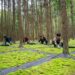 Warga setempat bekerja di sebuah basis penanaman lumut daun (moss) di Maoyang, Wilayah Otonom Etnis She Jingning, Lishui, Provinsi Zhejiang, China timur, pada 27 April 2024. (Xinhua).