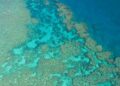 Foto dari udara yang diabadikan pada 2 Juni 2021 ini menunjukkan Great Barrier Reef di Queensland, Australia. (Xinhua/Hu Jingchen)