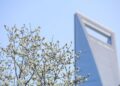 Bunga magnolia yang bermekaran terlihat di Lujiazui, Shanghai, China timur, pada 18 Maret 2025. (Xinhua/Wang Xiang)