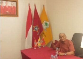 Robinson Napitupulu, Wakil Ketua Umum BP LANSIA Pusat